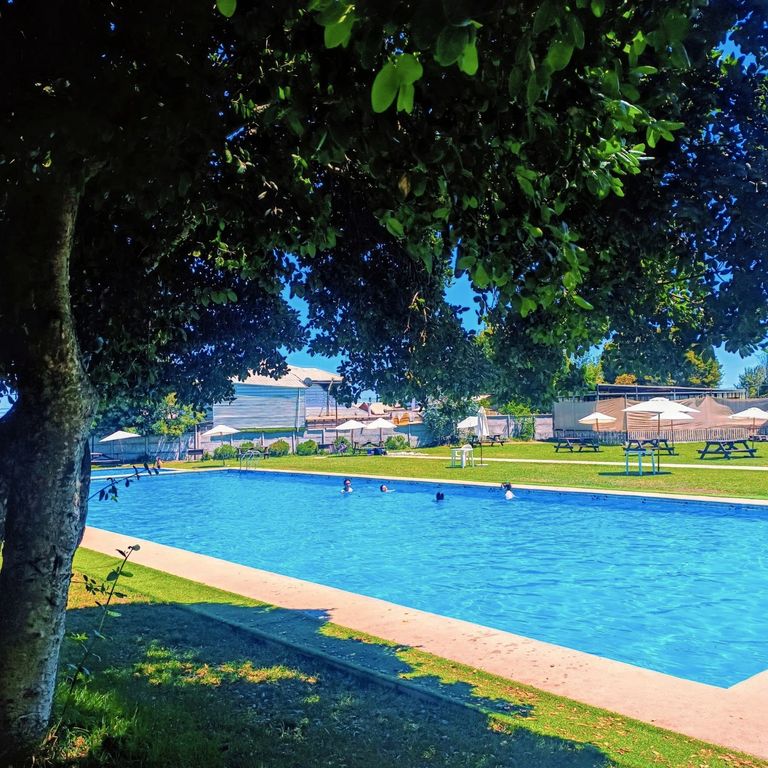 Piscina al aire libre rodeada de césped y árboles